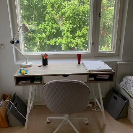 Scandinavian With Fireplace *