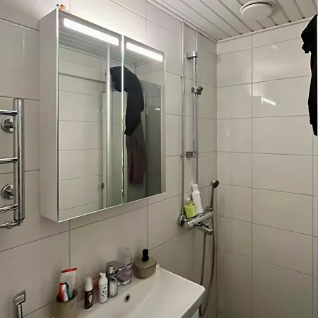 Scandinavian With Fireplace