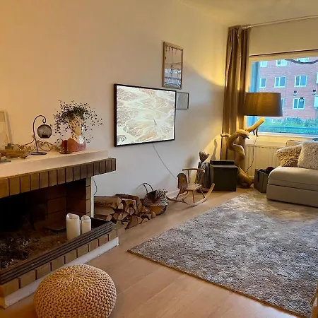 Scandinavian With Fireplace Ελσίνκι