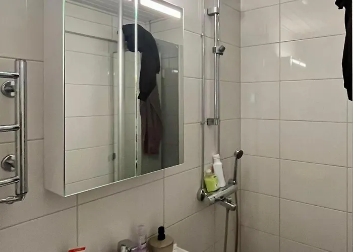 Scandinavian With Fireplace