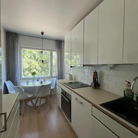 Scandinavian With Fireplace Apartamento